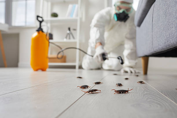 Commercial Kitchen Cockroach Control in Anna